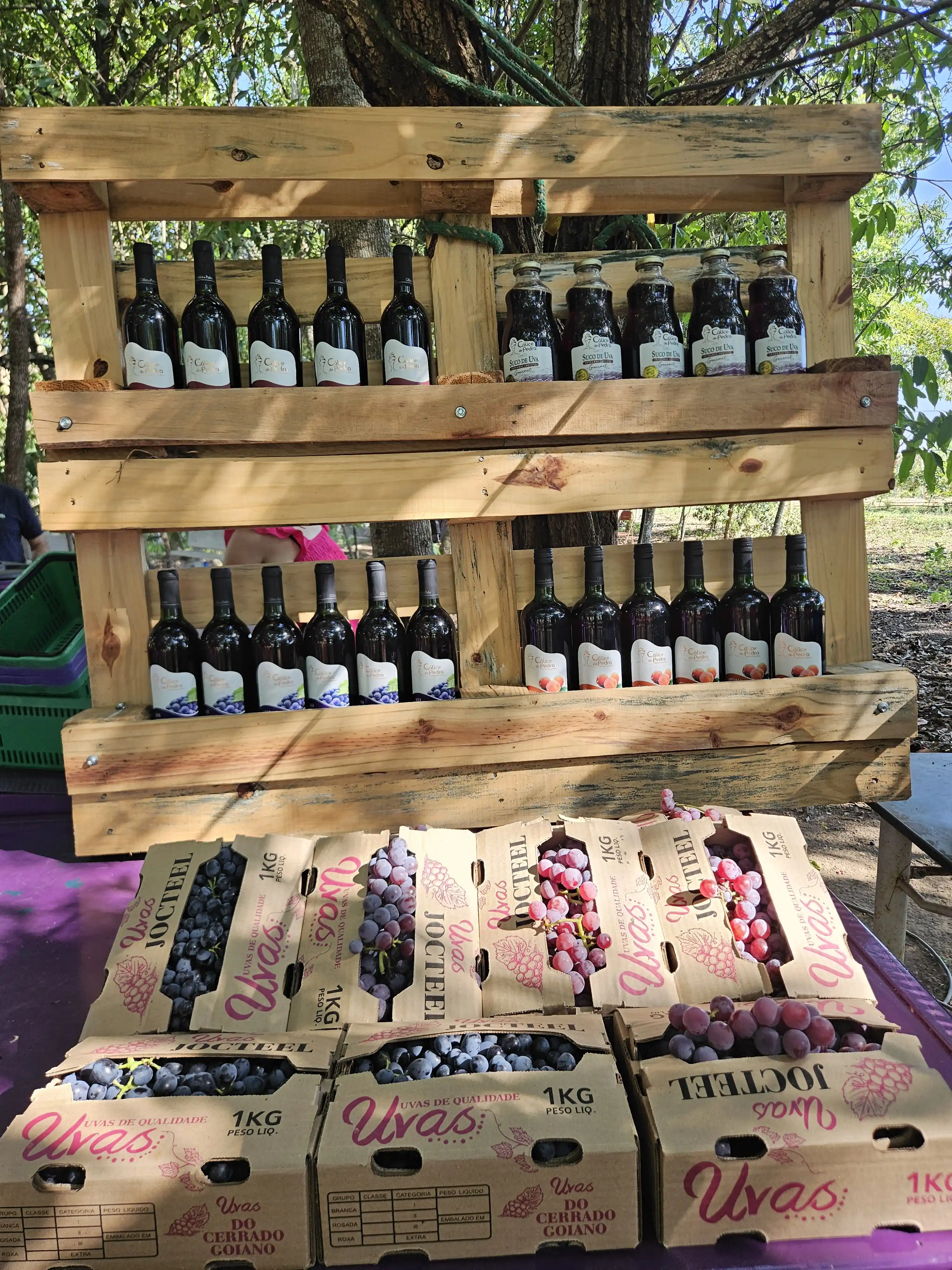 Vinhos e sucos